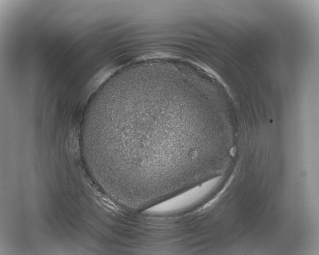 X0000067480921200604101225