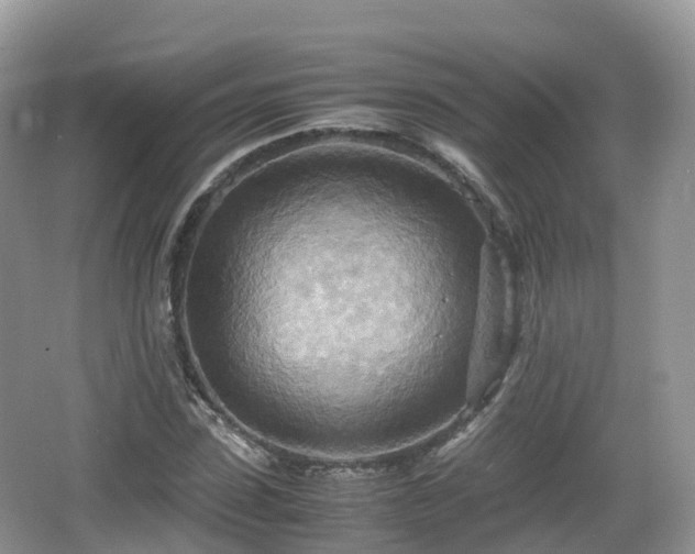 X0000067480923200604101225