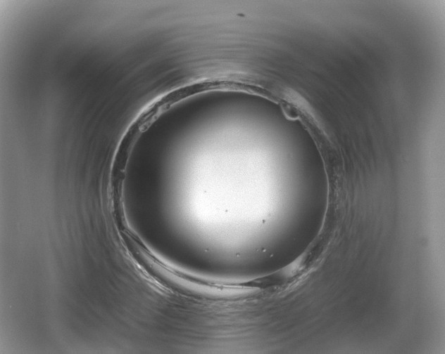 X0000067480924200604101225