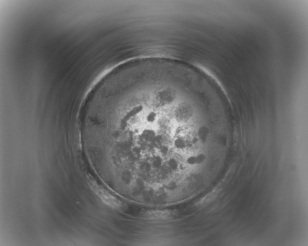 X0000067480925200604101225