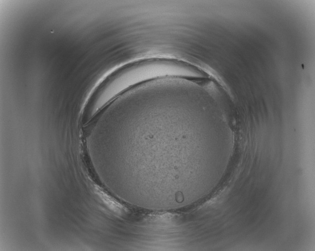 X0000067480926200604101225