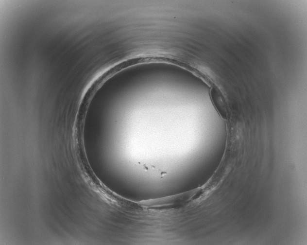 X0000067480928200604101225