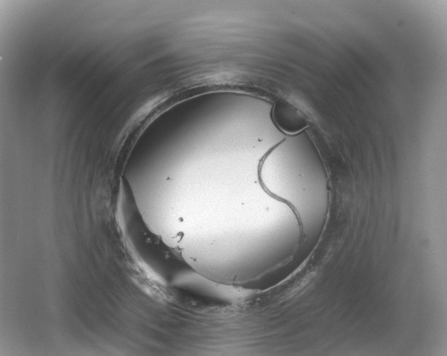 X0000067480930200604101225