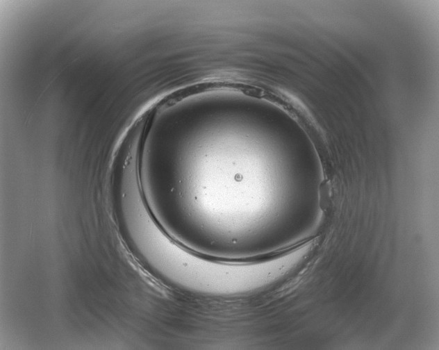 X0000067480931200604101225