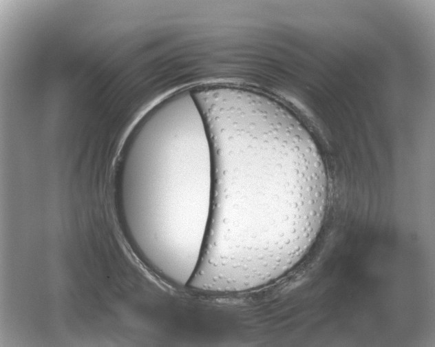 X0000067480933200604101225