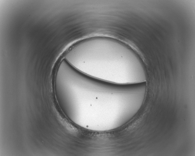 X0000067480934200604101225