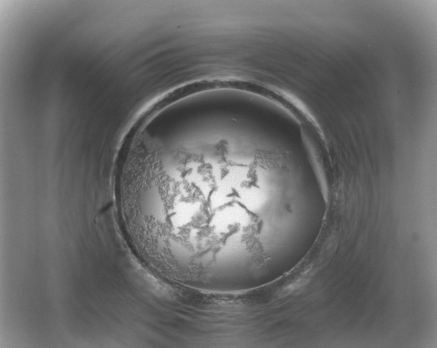 X0000067480935200604101225