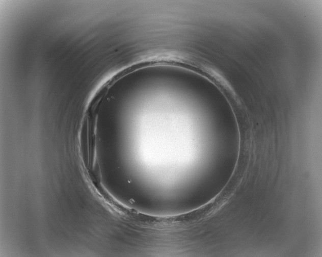 X0000067480936200604101225