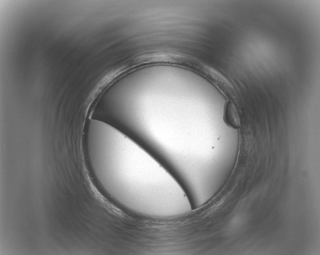 X0000067480938200604101225