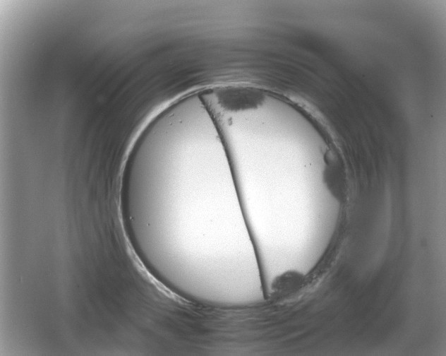 X0000067480941200604101225