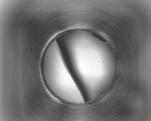 X0000067480942200604101225