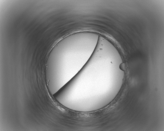 X0000067480945200604101226