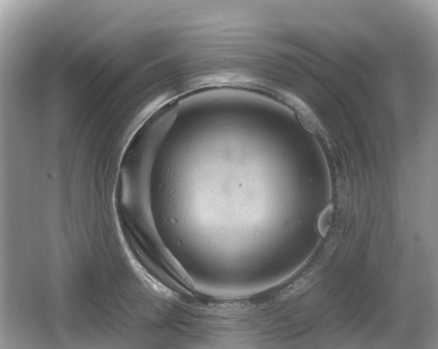 X0000067480946200604101226