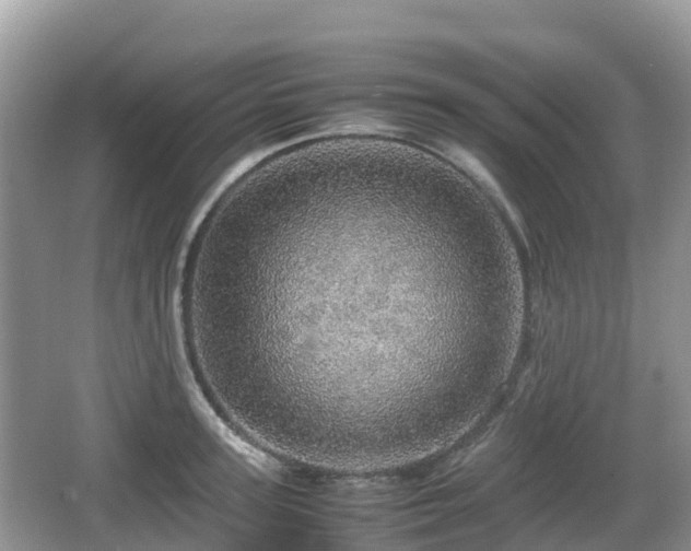 X0000067480947200604101226