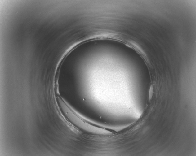 X0000067480948200604101226