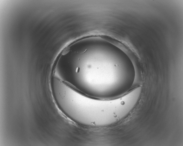 X0000067480950200604101226