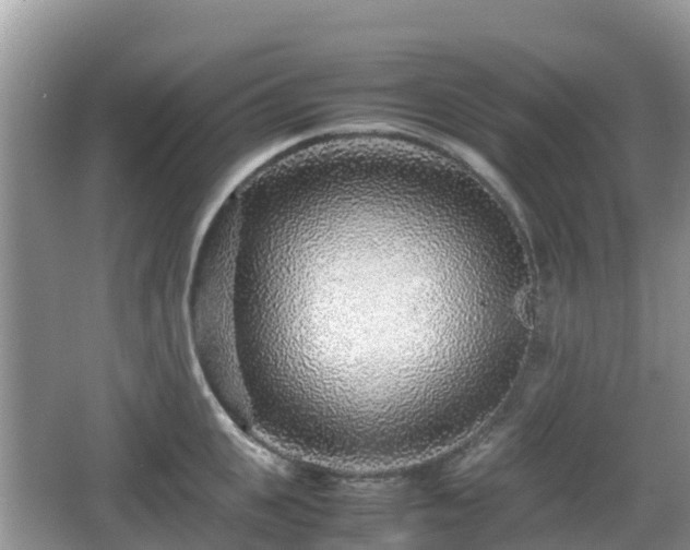 X0000067480951200604101226