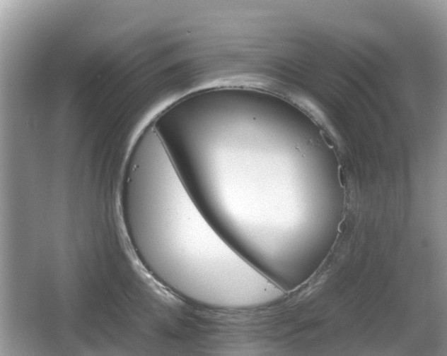 X0000067480952200604101226