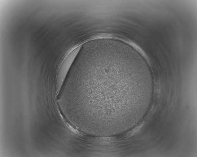 X0000067480953200604101226