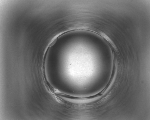 X0000067480956200604101226