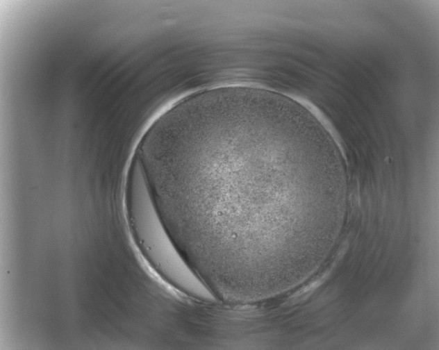 X0000067480957200604101226