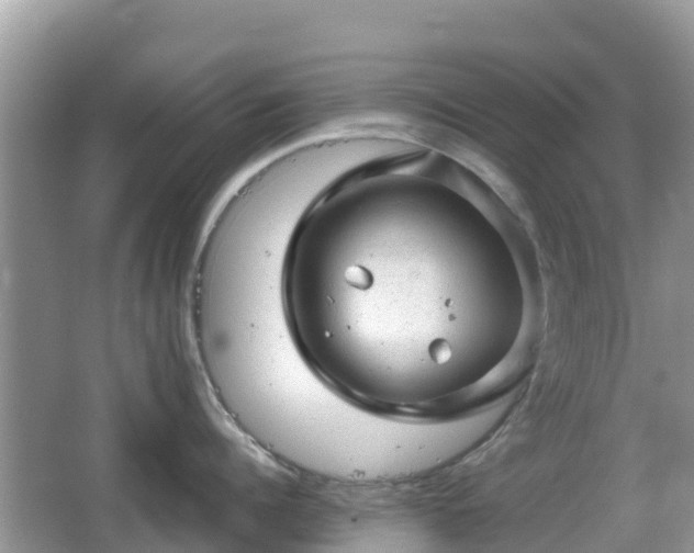 X0000067480960200604101226