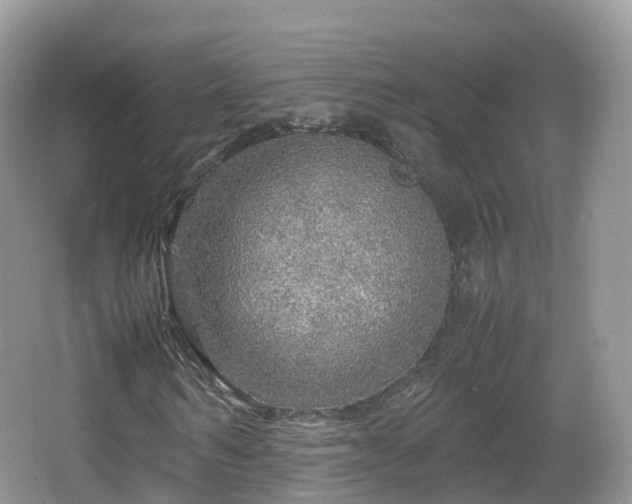 X0000067480962200604101225