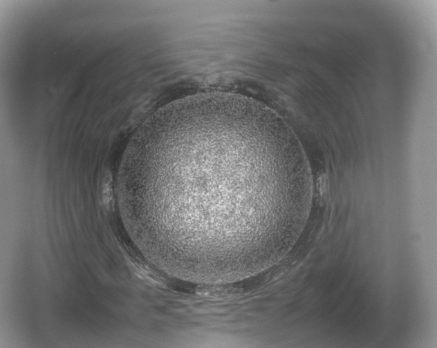 X0000067480963200604101225