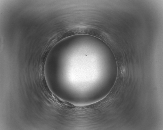 X0000067480964200604101225