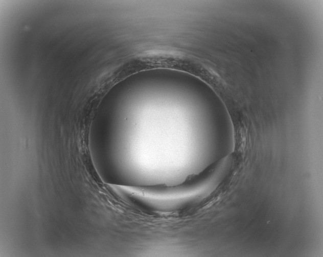 X0000067480965200604101225