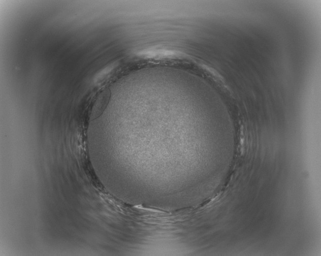 X0000067480966200604101225