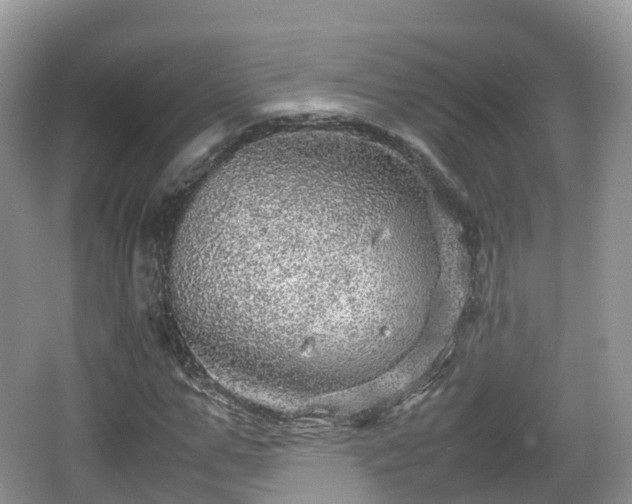 X0000067480967200604101225