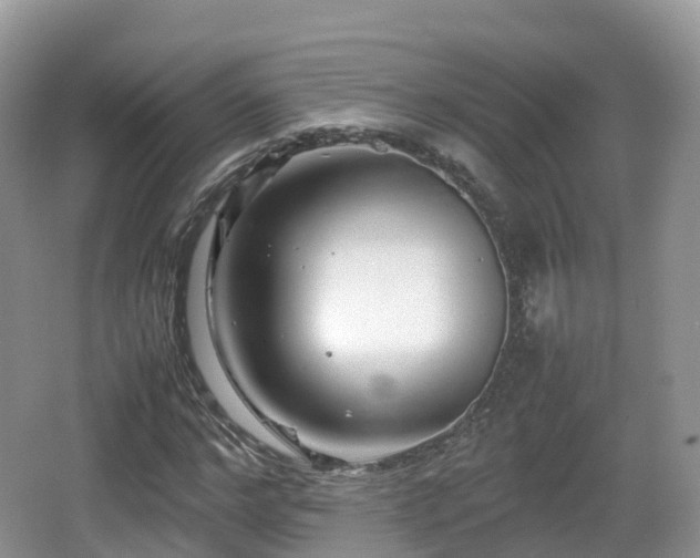 X0000067480968200604101225