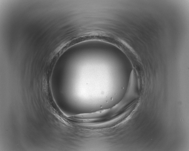 X0000067480969200604101225