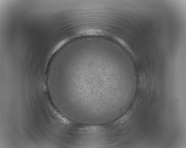 X0000067480970200604101225