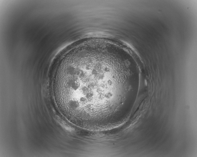 X0000067480971200604101225