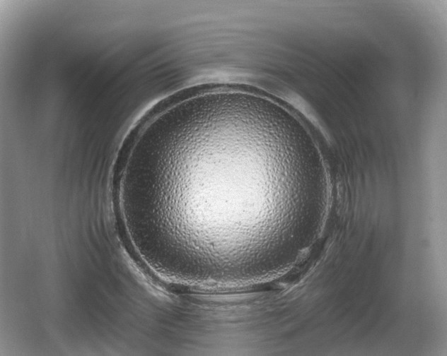 X0000067480972200604101225