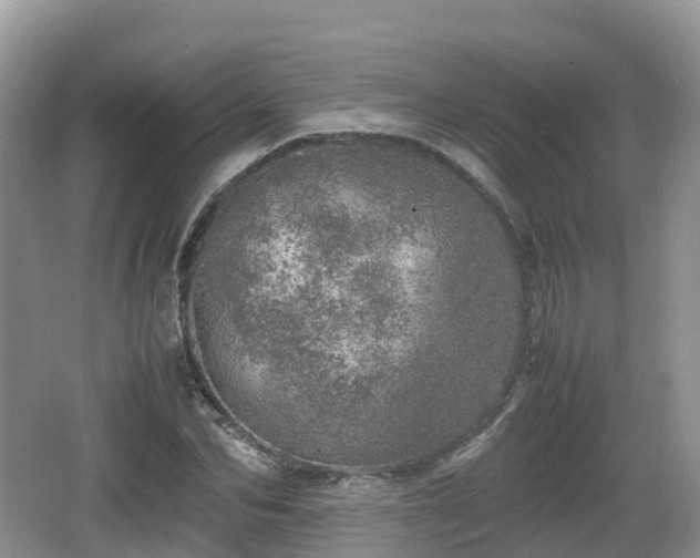 X0000067480974200604101225