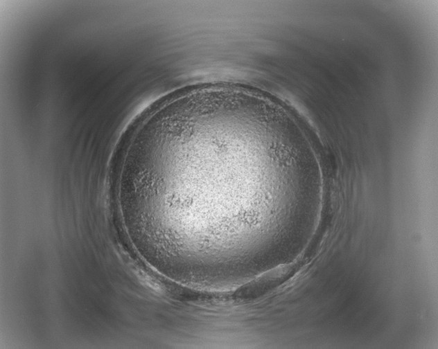 X0000067480975200604101225