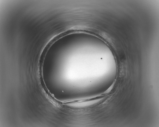 X0000067480976200604101225