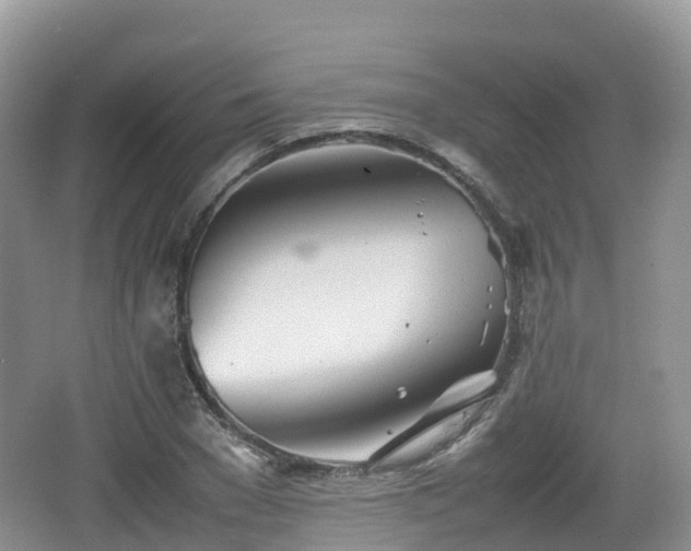 X0000067480977200604101225