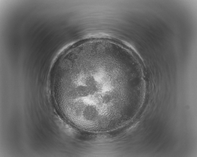 X0000067480979200604101225