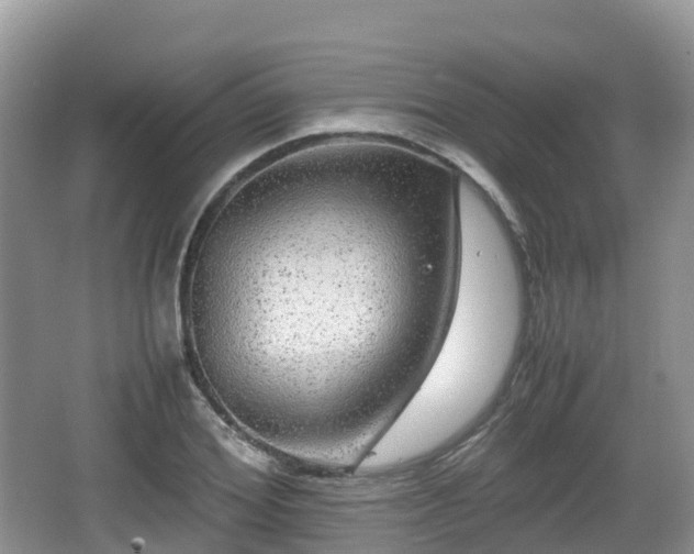 X0000067480980200604101225