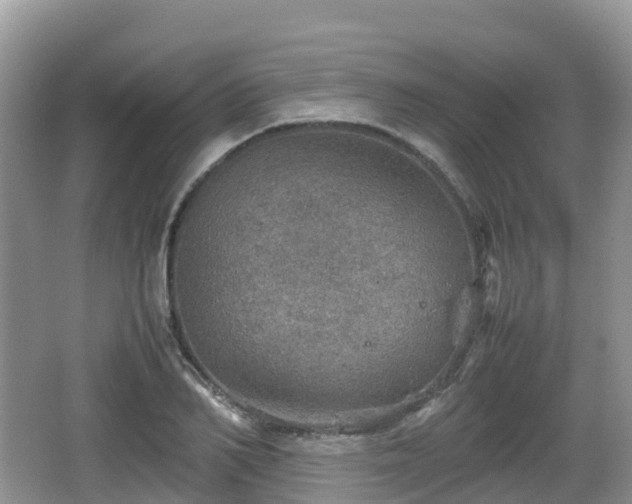 X0000067480982200604101225