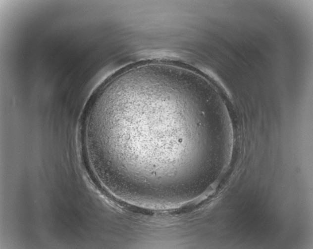 X0000067480983200604101225