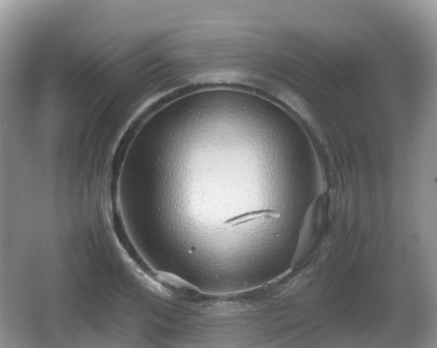 X0000067480984200604101225