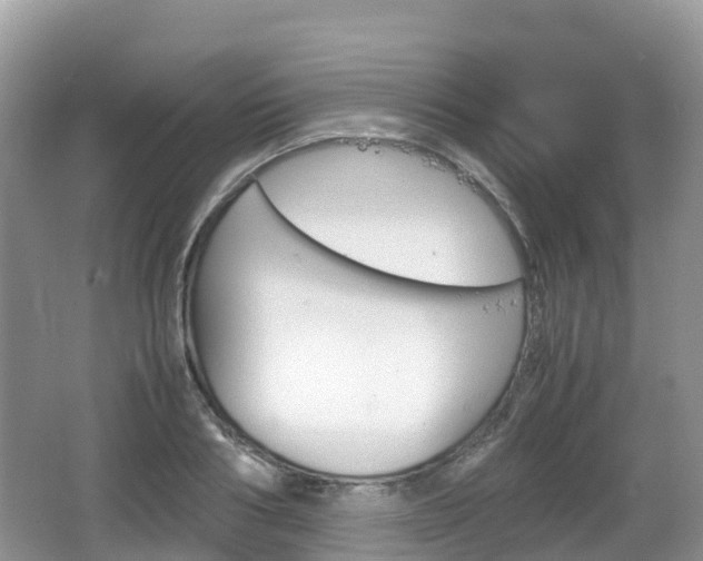 X0000067480986200604101225