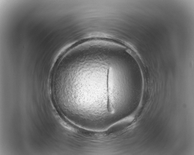 X0000067480987200604101225