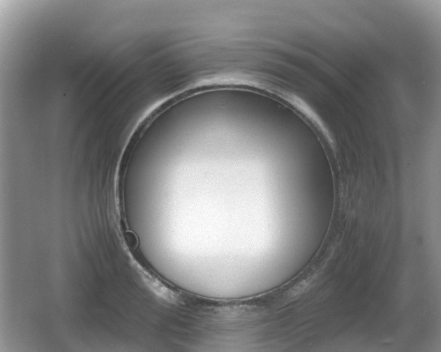 X0000067480988200604101225