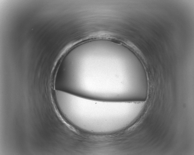 X0000067480989200604101224